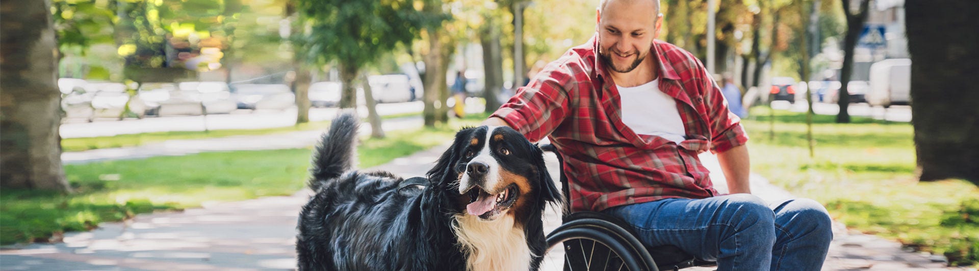 Happy young man with a physical disability who uses wheelchair with his dog